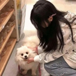 全民彩票app官网版下载